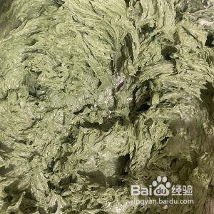 绿瘦子曲奇的做法