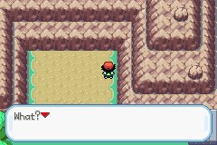 口袋妖怪圣灰攻略图片5