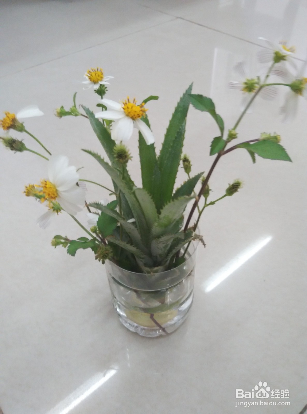 如何将不用菠萝叶回收利用