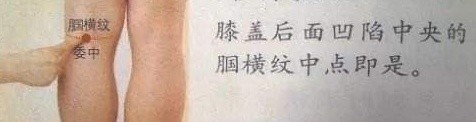 这些穴位经常拍打，毒素就排出来了