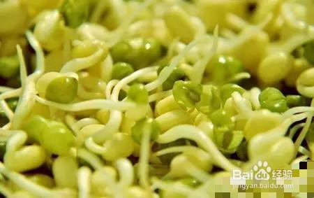 常吃二豆芽通经明目好处多