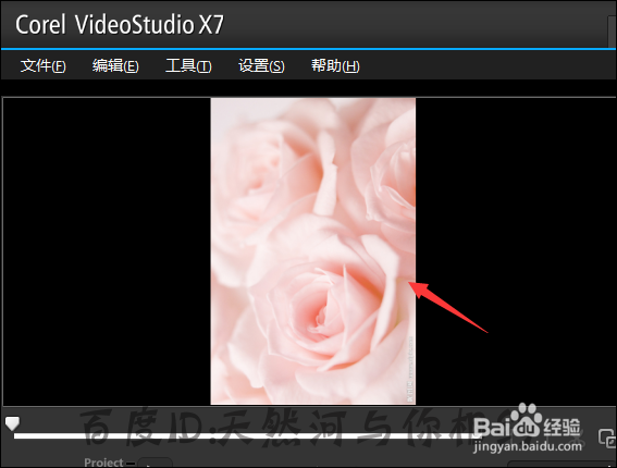 会声会影导入的图片颠倒怎么恢复正常?