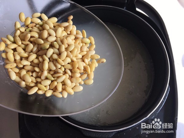 家庭美食花生黄豆皮冻