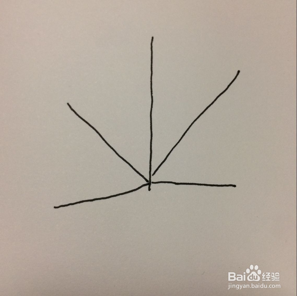 怎样简笔画树叶