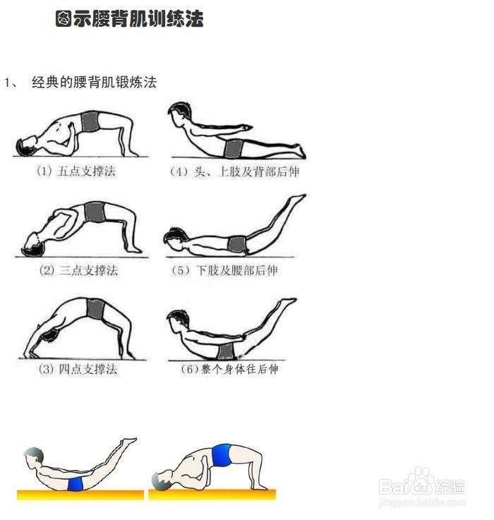 腰背肌锻炼方法-百度经验