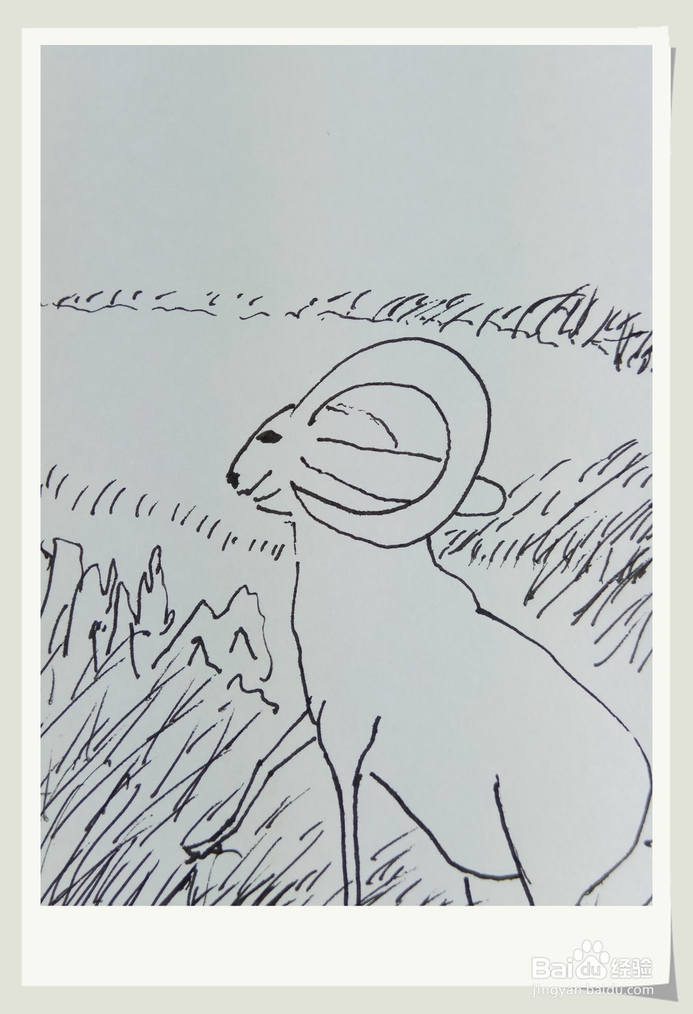 怎样画钢笔画“老羊”？