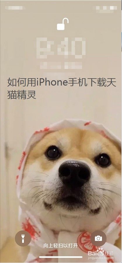 如何用iphone手机下载天猫精灵 百度经验