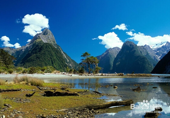 中小型第三方物流企业发展现状及对策研究