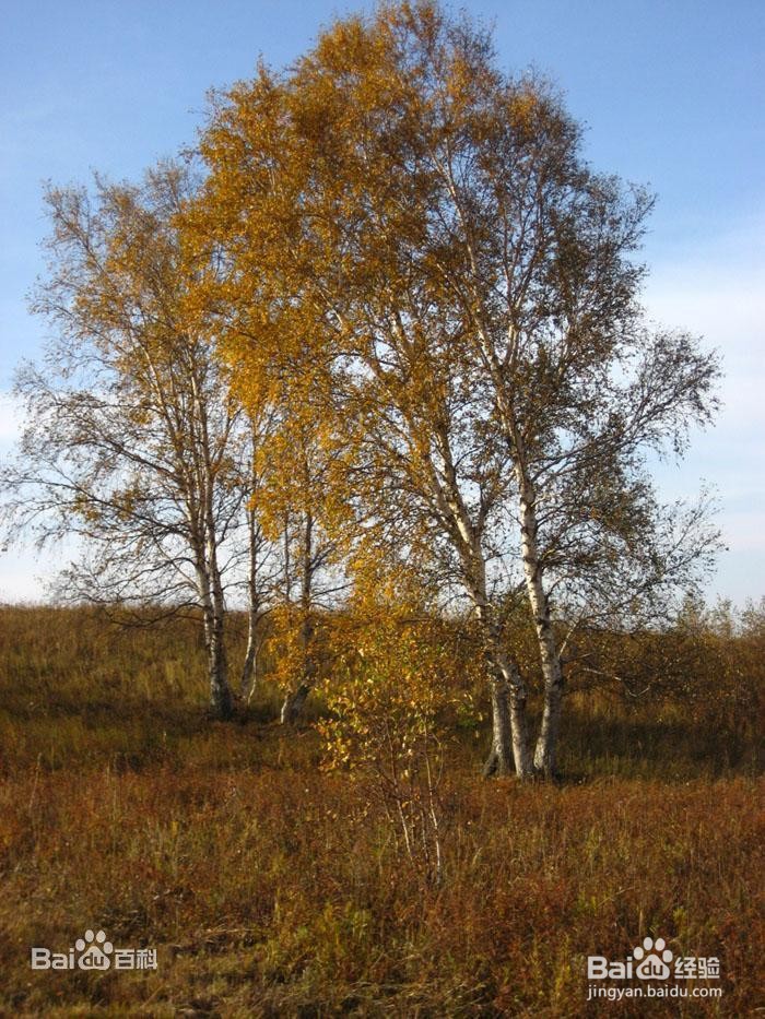 如何度过最后的时光？