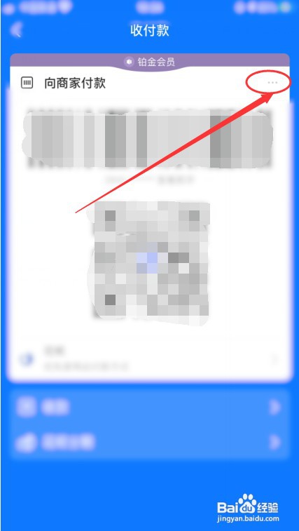 支付宝付款码换肤