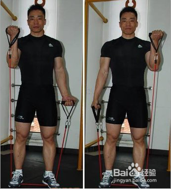 弹力带正确训练方法