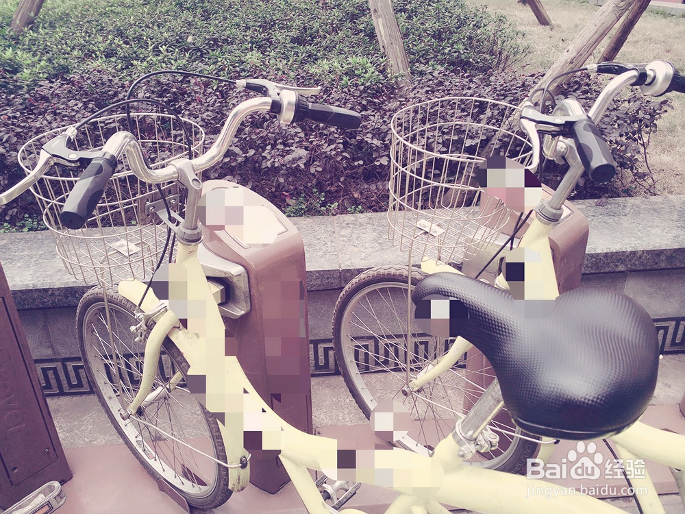 哪种交通能够做到低碳出行？