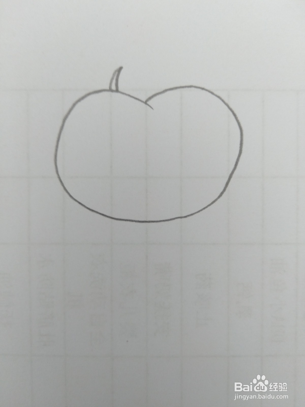 简笔画柿子画法三