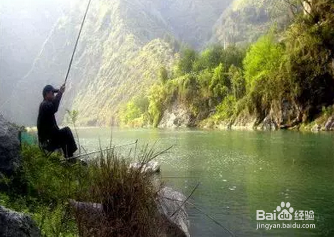垂钓技巧 钓鱼人都有的毛病 自己对对吧