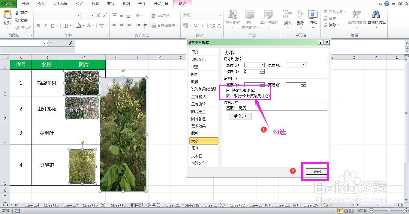 Excel表格中调整图片大小时变形了怎么办