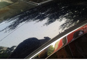 污渍渗入车漆怎么处理