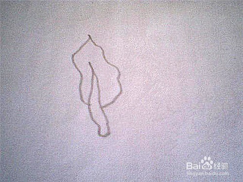 简笔画菠菜的画法