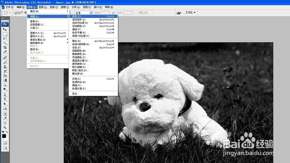 PS抠图：[4]头发、毛绒玩具抠图