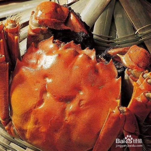 保存螃蟹的方法