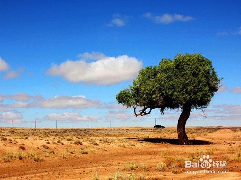 如何挽回前任？【有效】