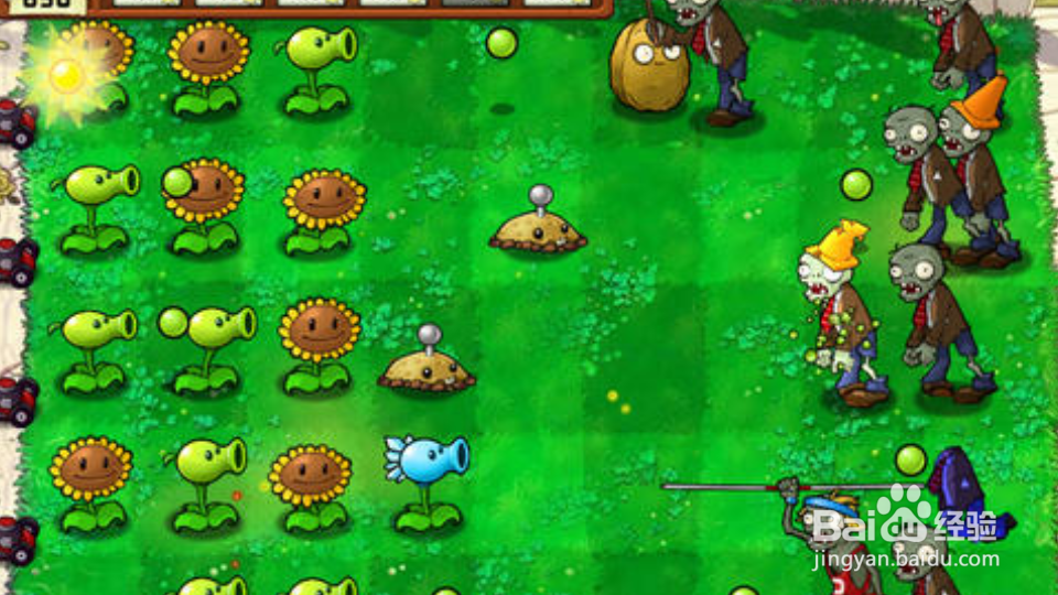 全面冻结怎么过