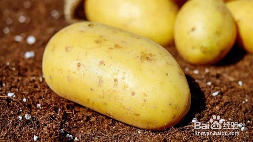 丝瓜焖土豆