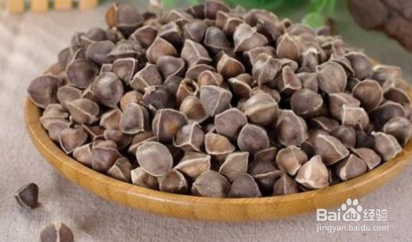 辣木籽怎样食用