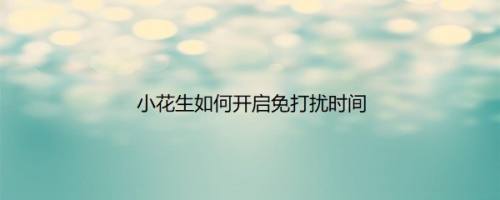 小花生如何开启免打扰时间