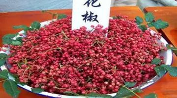 脚气、脚痒用它泡,屡试屡爽!