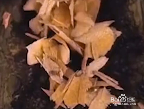 如何学习生活中的修补小技巧