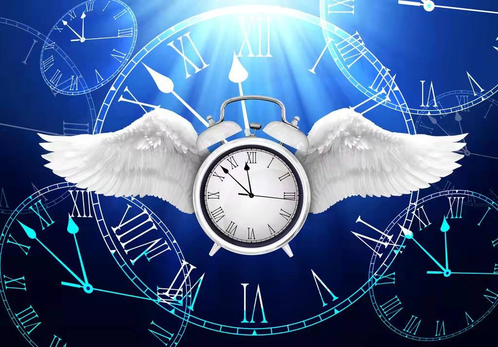 悠悠十二载匆匆一轮回出自哪里