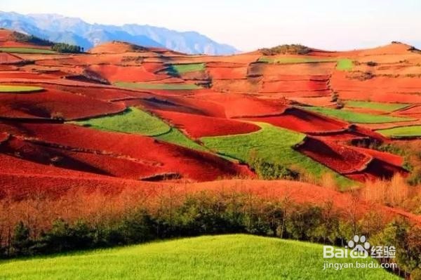 老司机带路,到东川红土地那些犄角旮旯的拍摄点