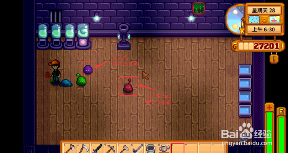 星露谷物语史莱姆农场有什么用 史莱姆屋怎么建