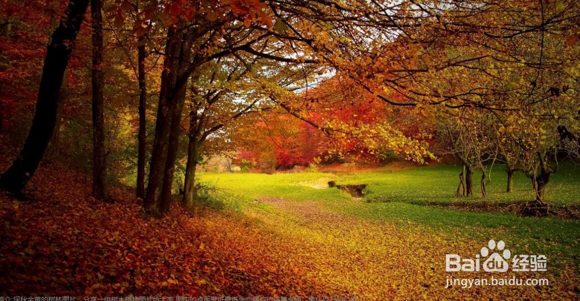 怎样给图片添加黑白胶卷特效滤镜