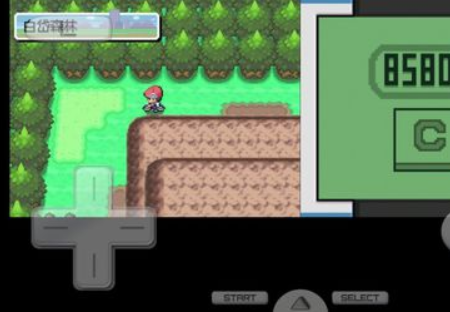 口袋妖怪日月叶伊布怎么进化 伊布进化成草