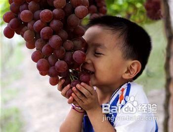 肝脏排毒吃什么