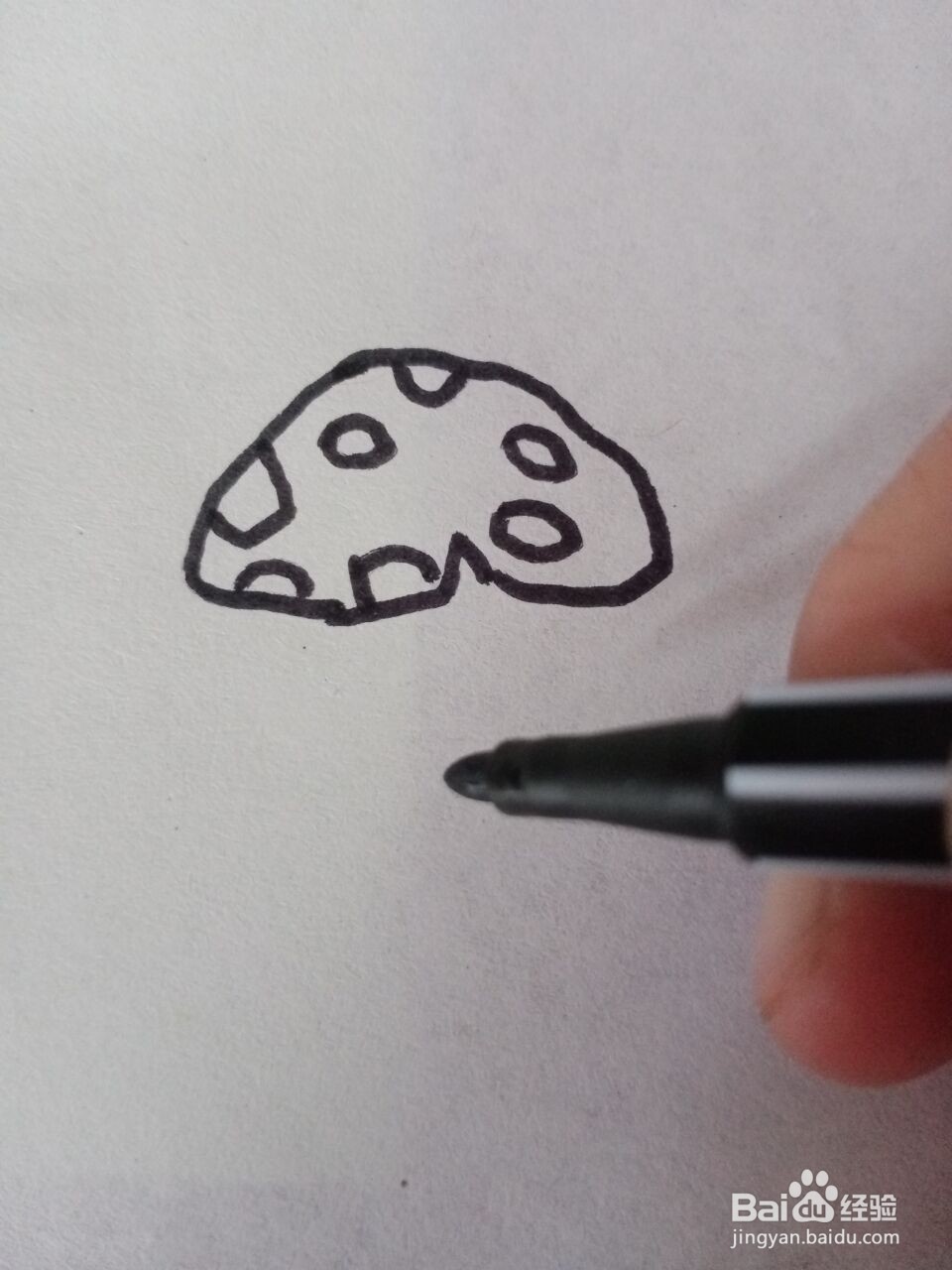 蘑菇的外形怎么画