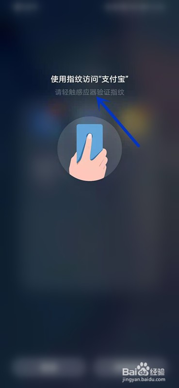 如何查询支付宝的总资产