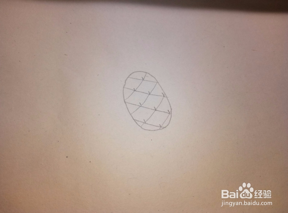 简笔画之——菠萝