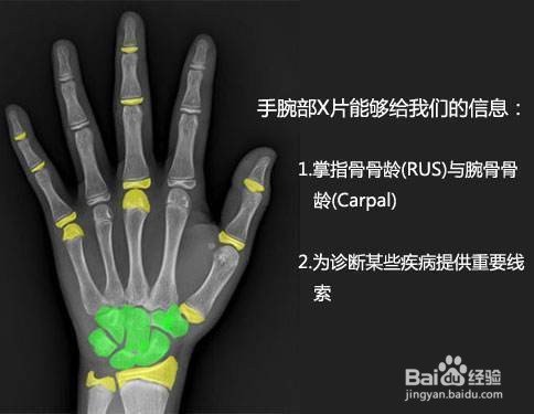 如何判断人的年龄最科学