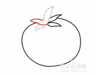 简笔画-如何画番茄