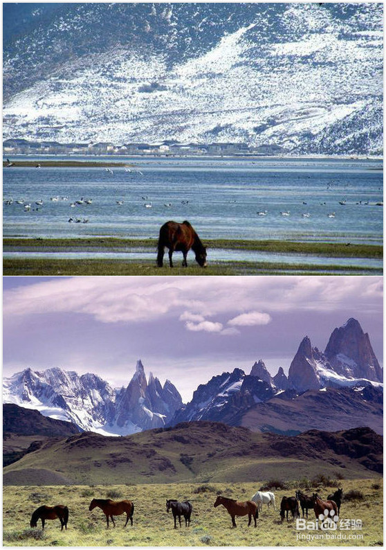 北京马拉松遇重霾 盘点全国十大洗肺的森林氧吧