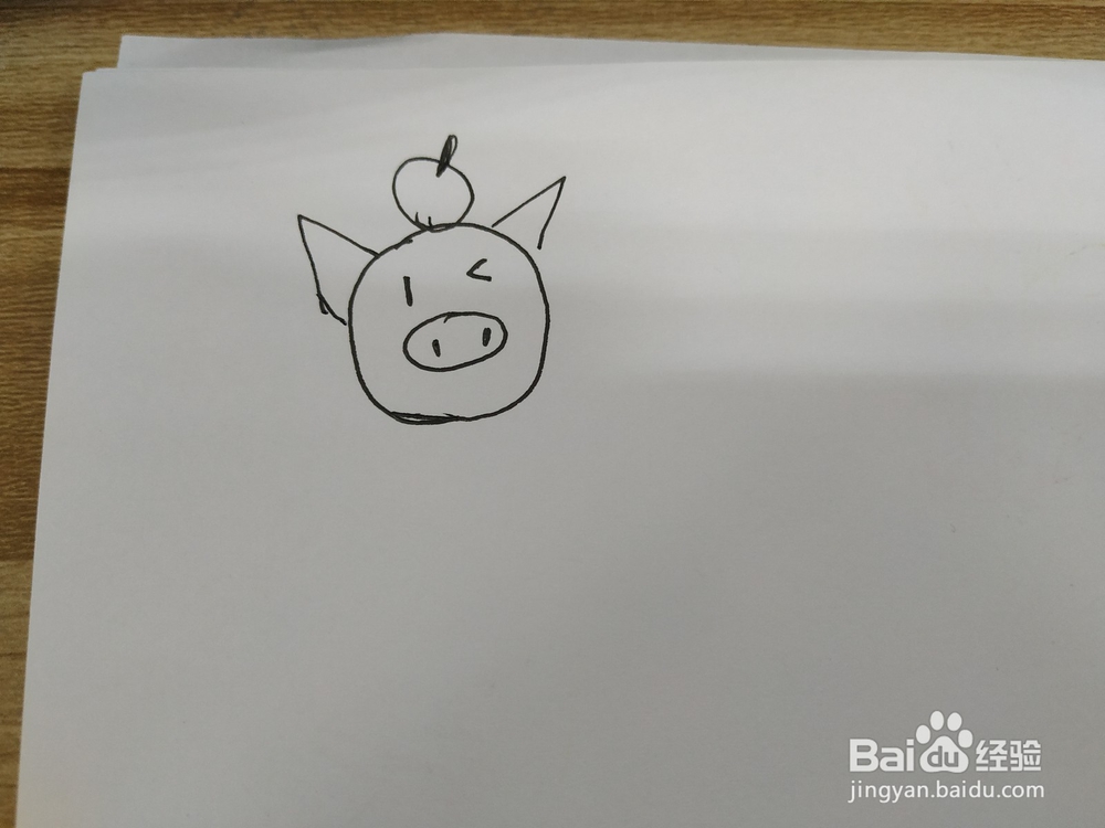 蝴蝶结可爱小猪简笔画怎么画,怎么画小猪