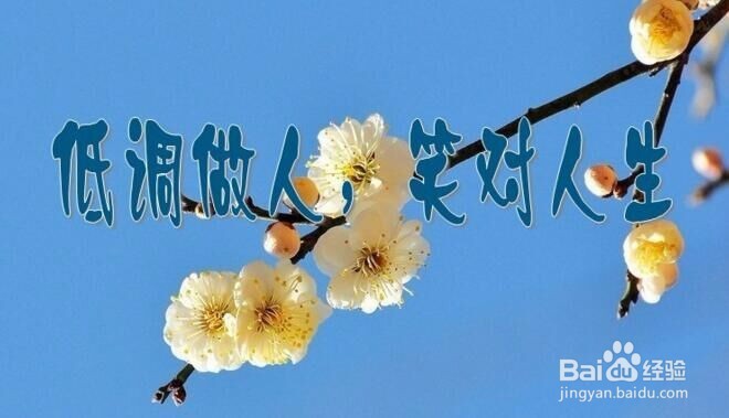 一个真正有教养的人会是什么样子的