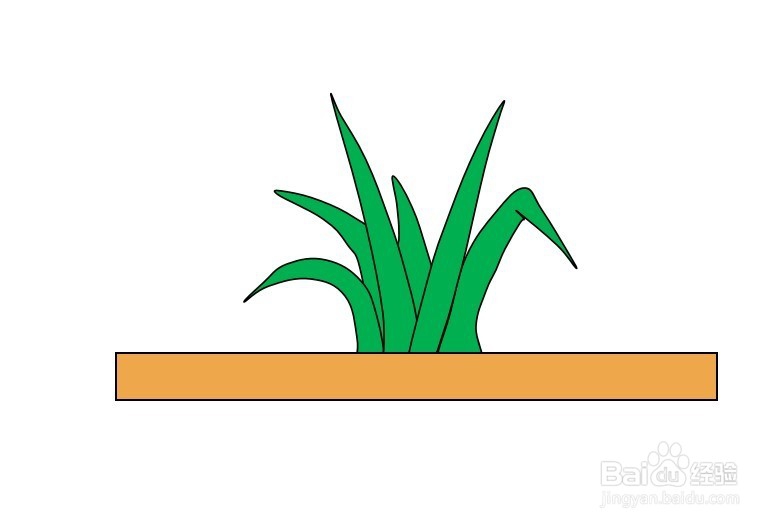 画小草盆景的简笔画
