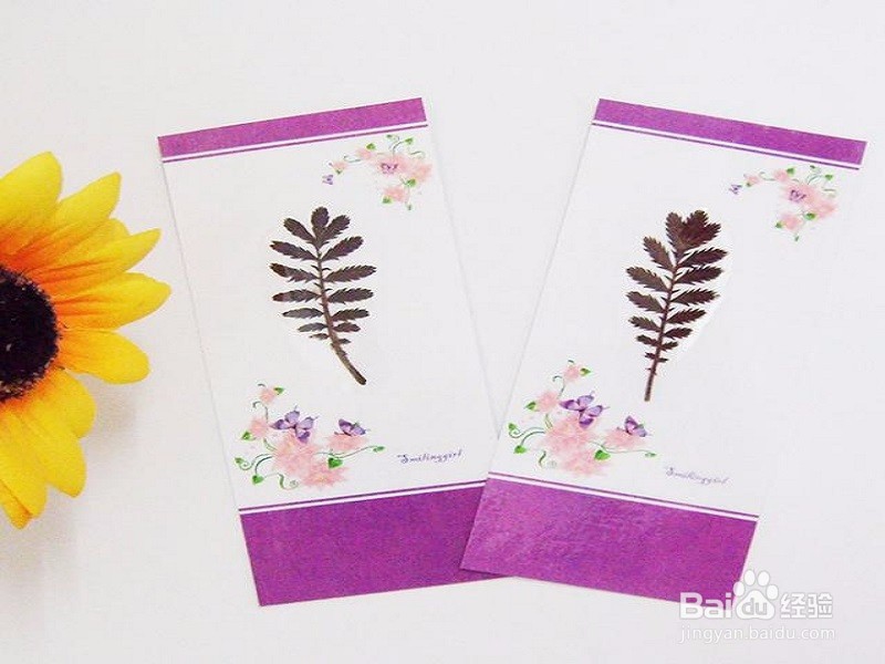 如何保持植物标本的颜色