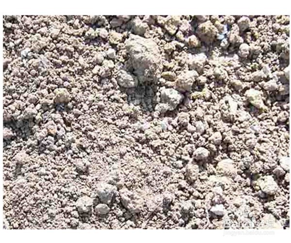 如何解决花盆中长出小蚊子