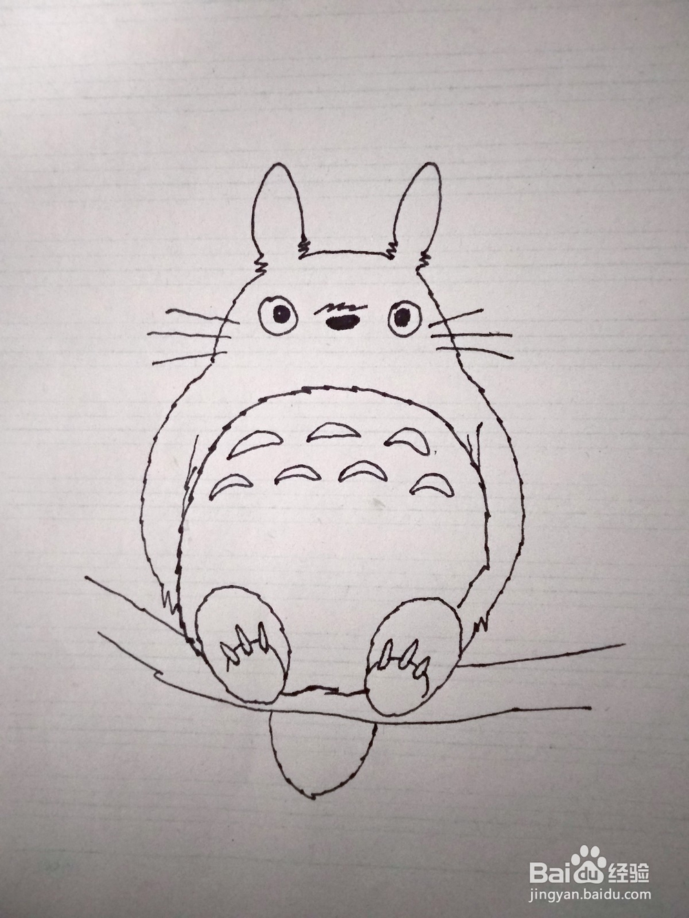 用钢笔怎么画卡通龙猫简笔画如何画龙猫