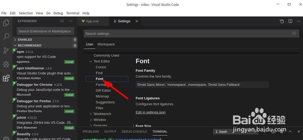 ubuntu vscode字体设置
