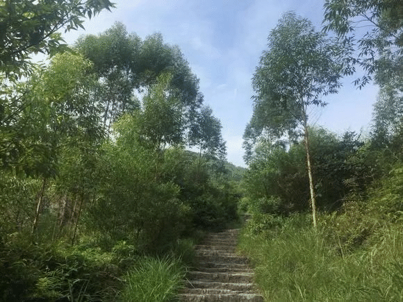 怎么用Mathematica来检测图片的特征点？